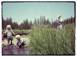 northern-sierras-fly-fishing
